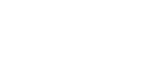 meyer selle