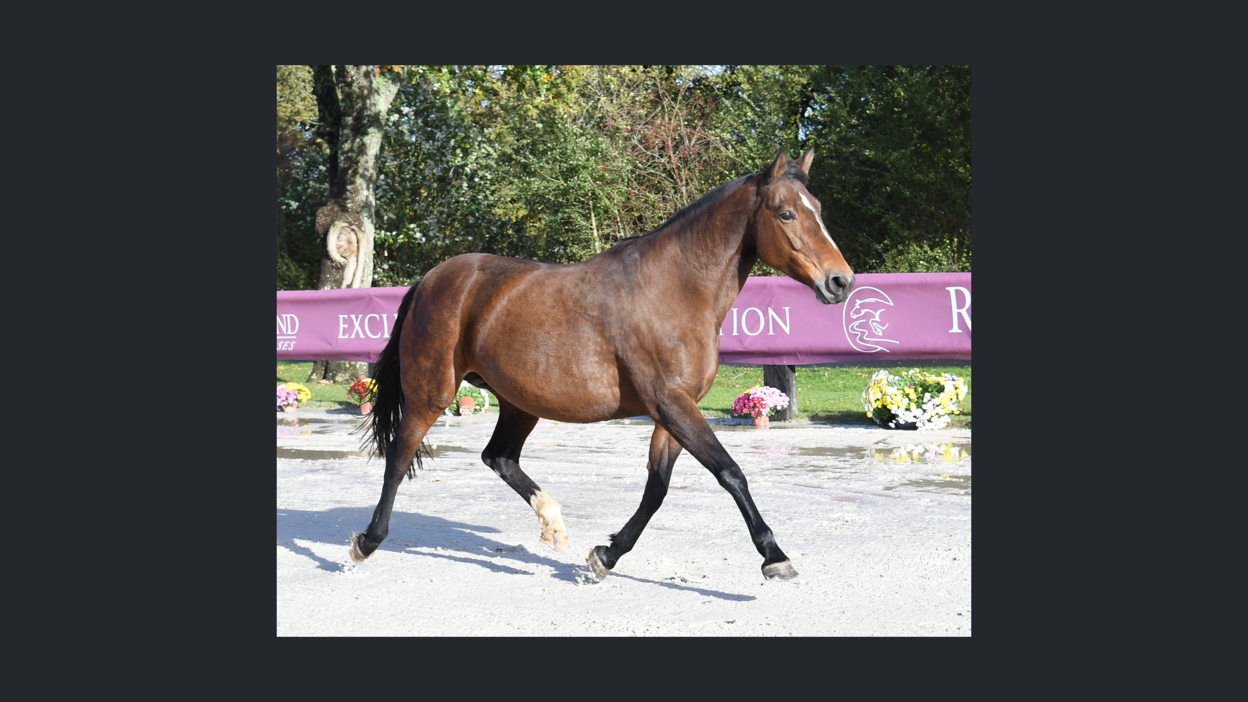 Image d'illustration