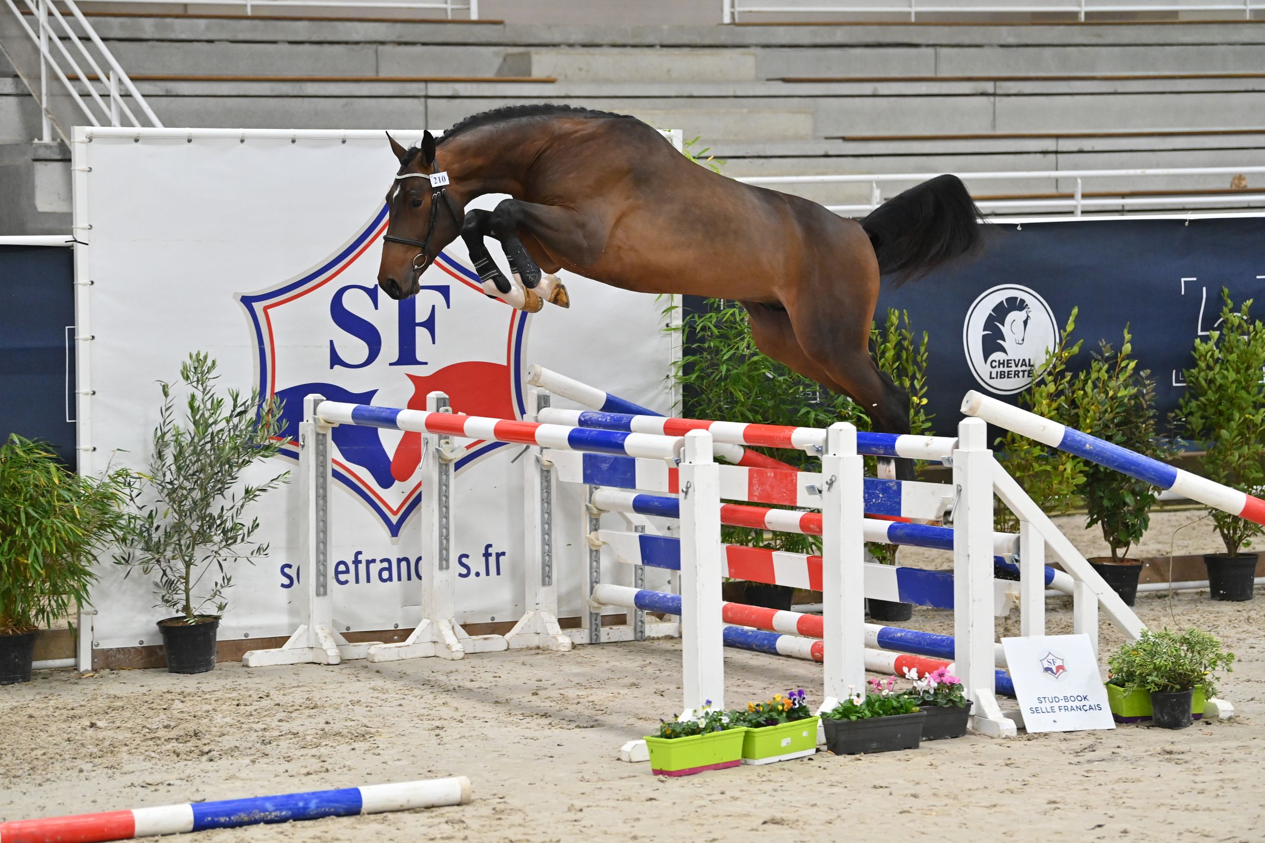 Image d'illustration