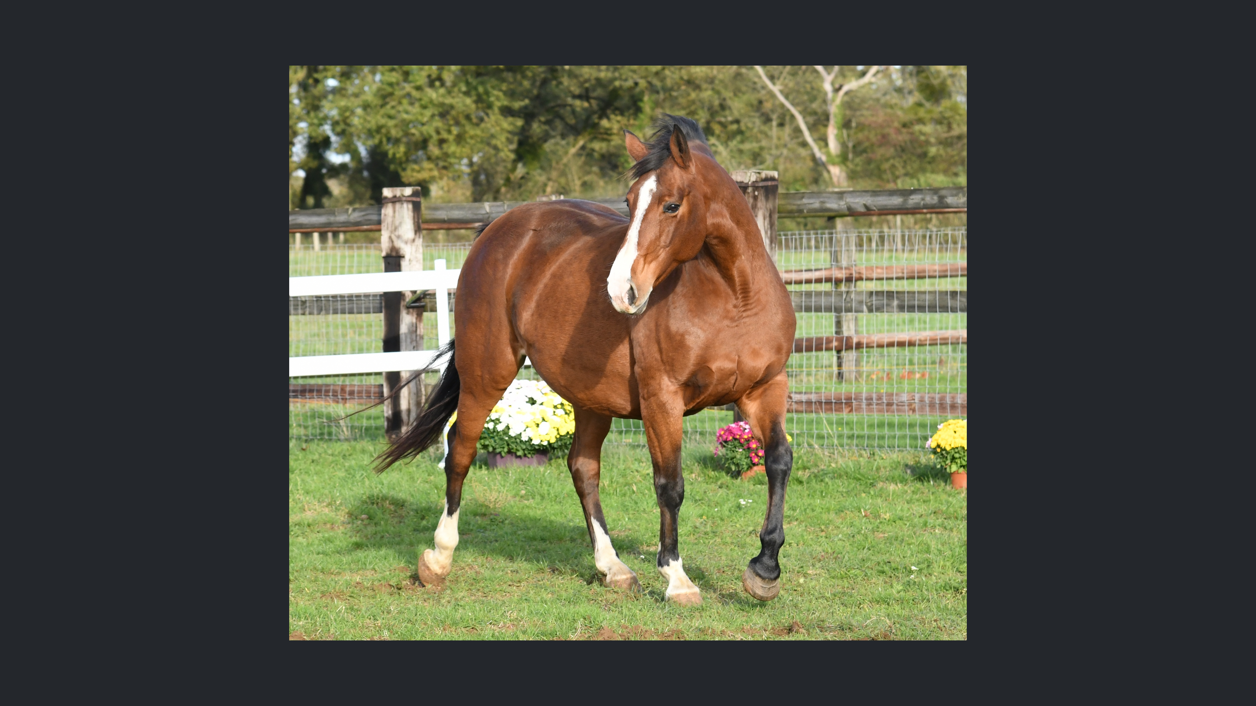 Image d'illustration