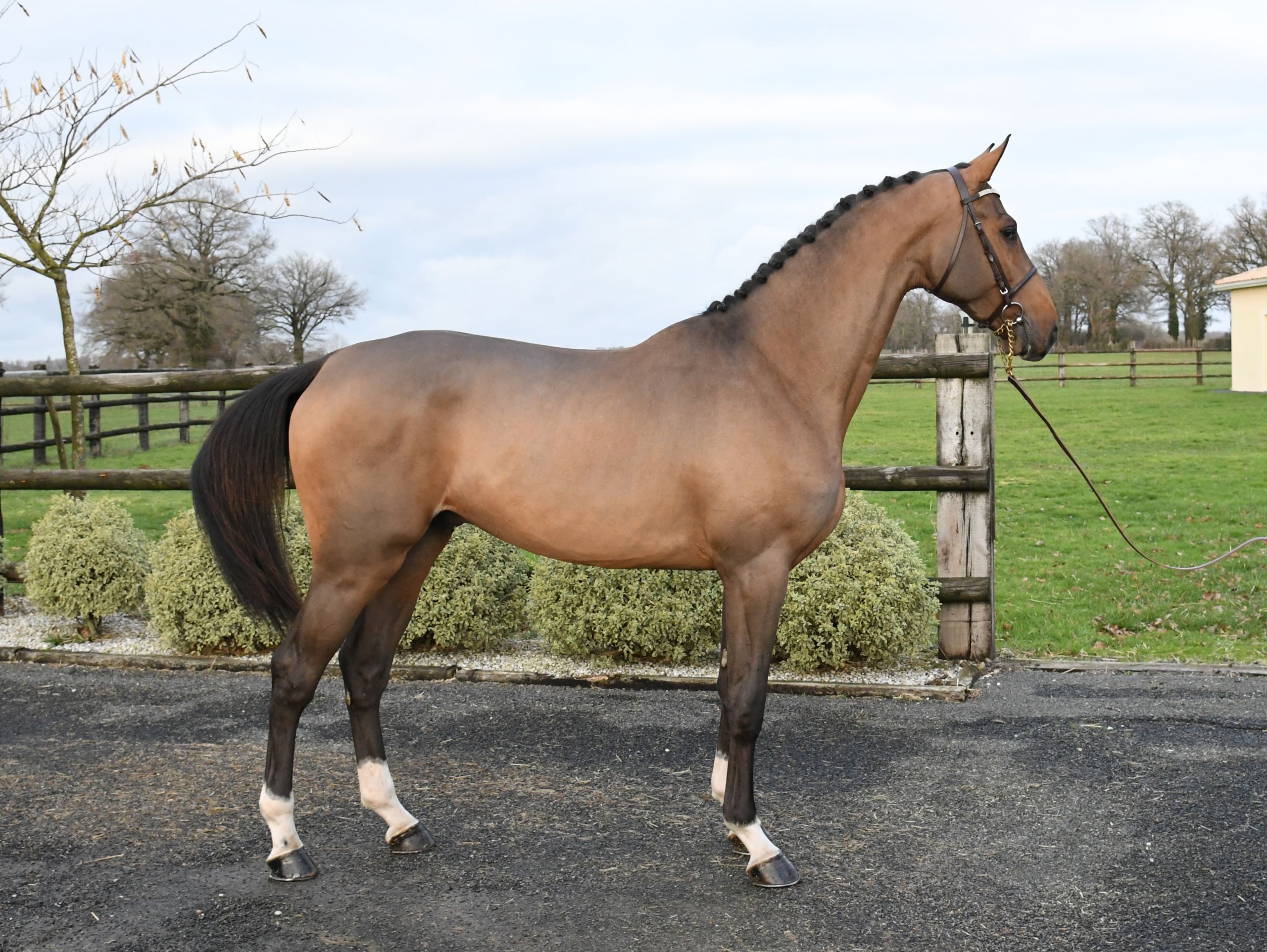 Image d'illustration