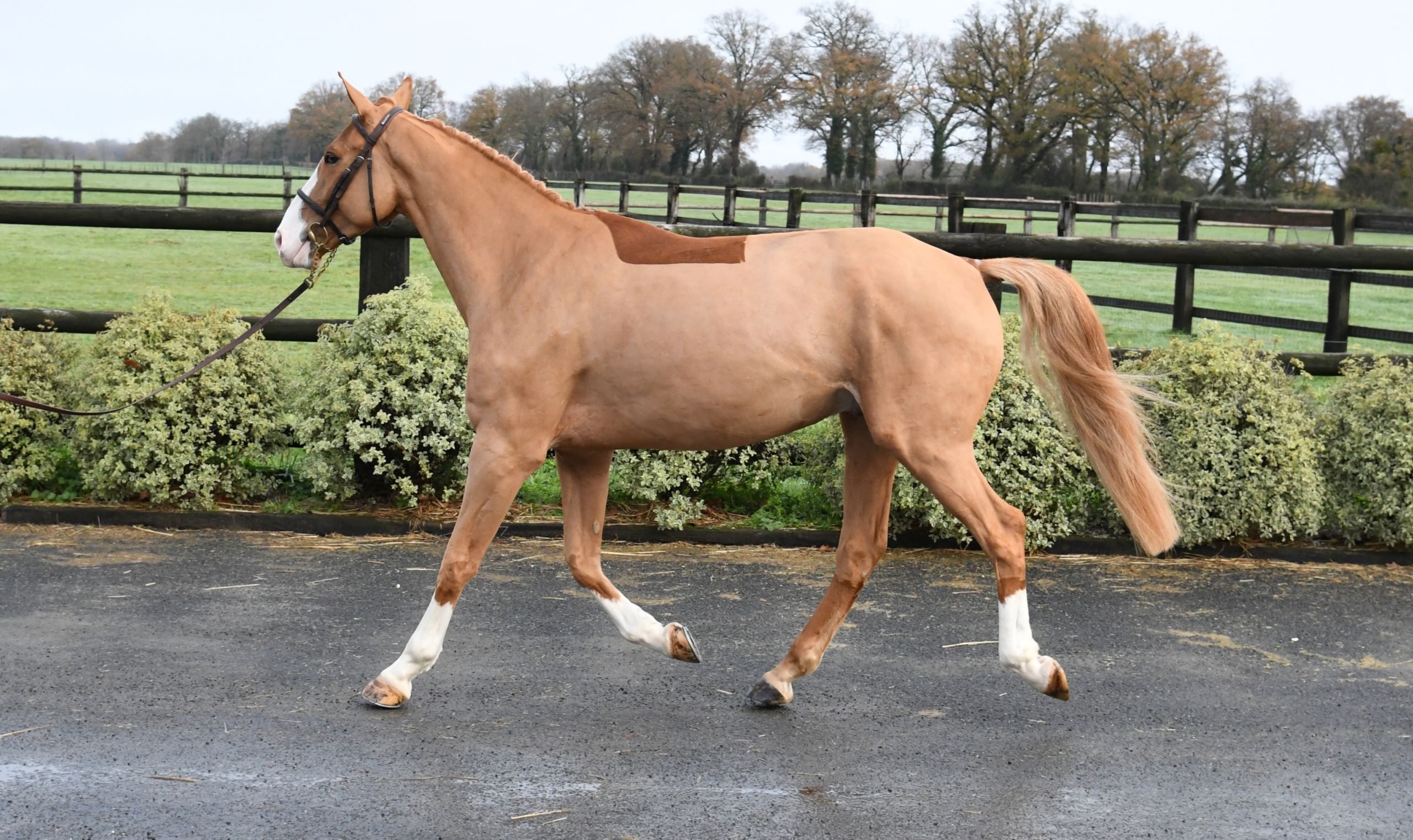 Image d'illustration