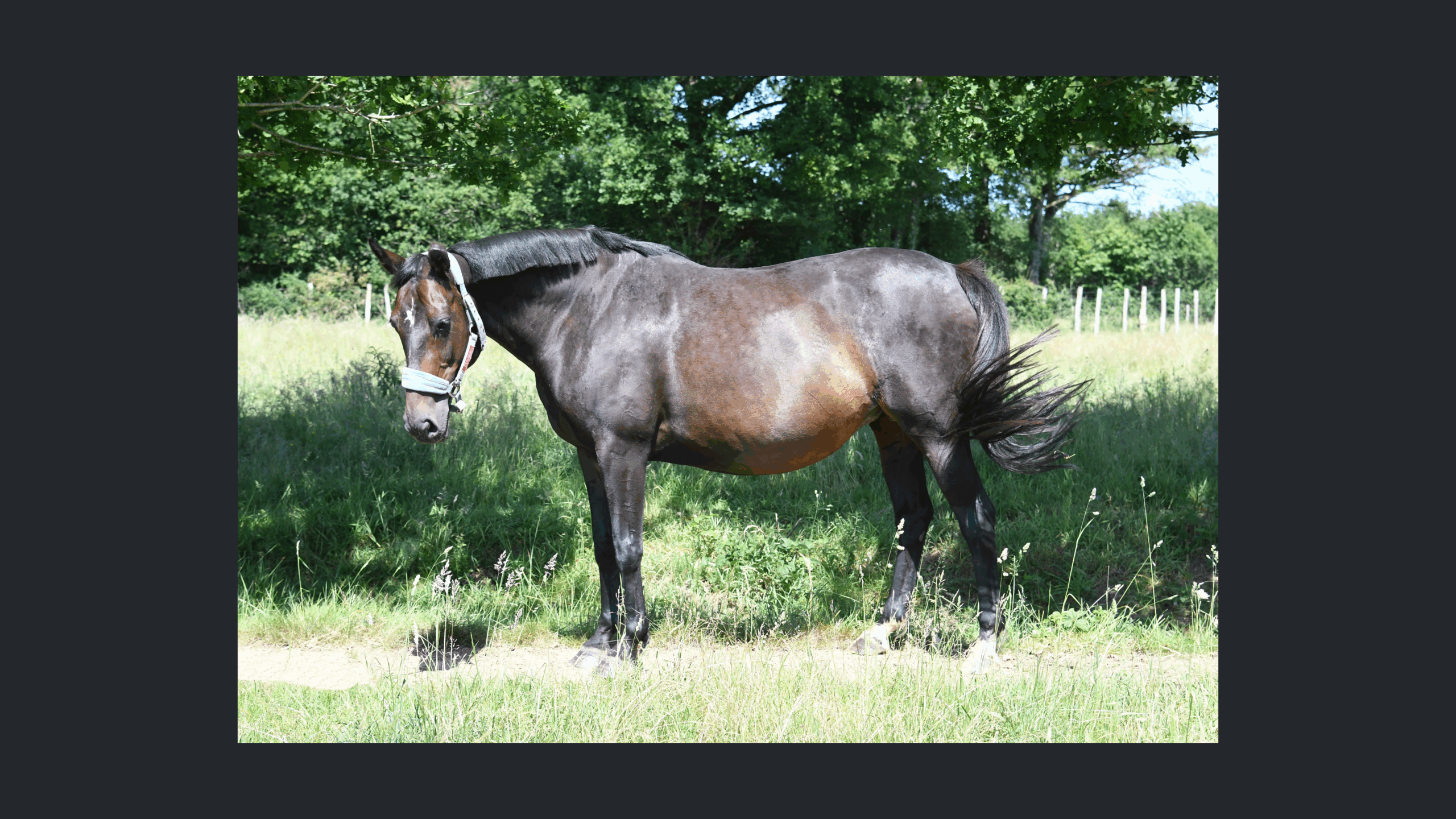 Image d'illustration