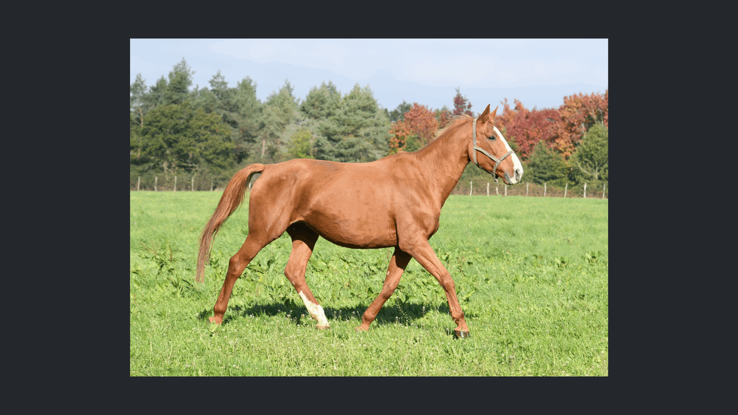 Image d'illustration