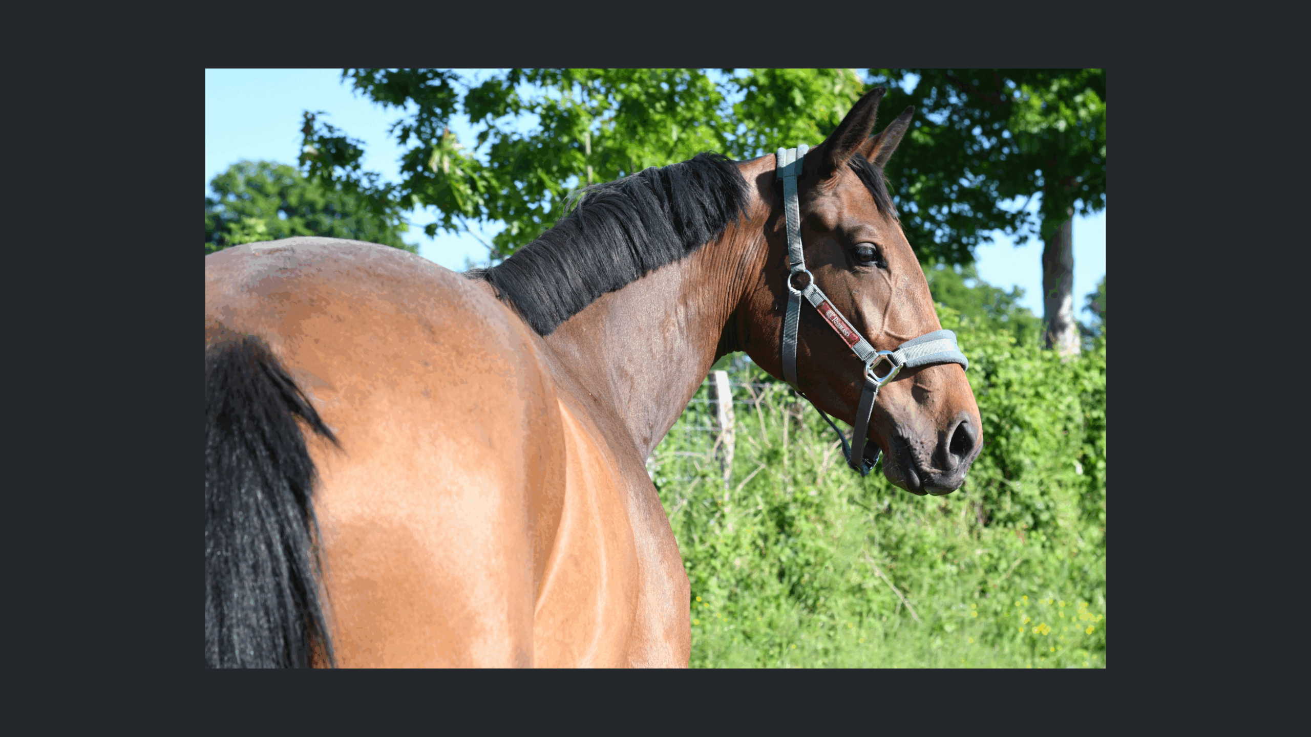 Image d'illustration