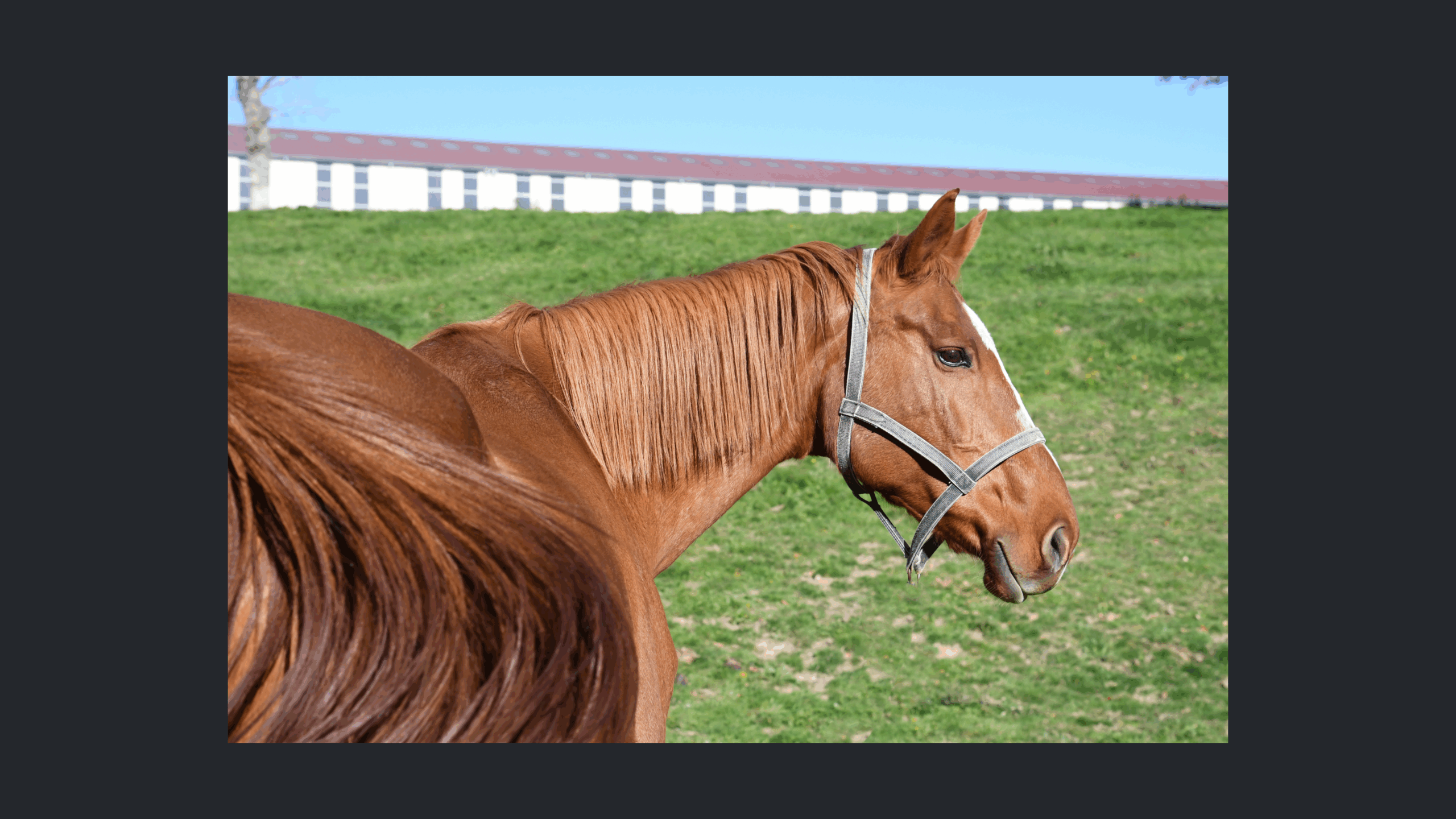 Image d'illustration