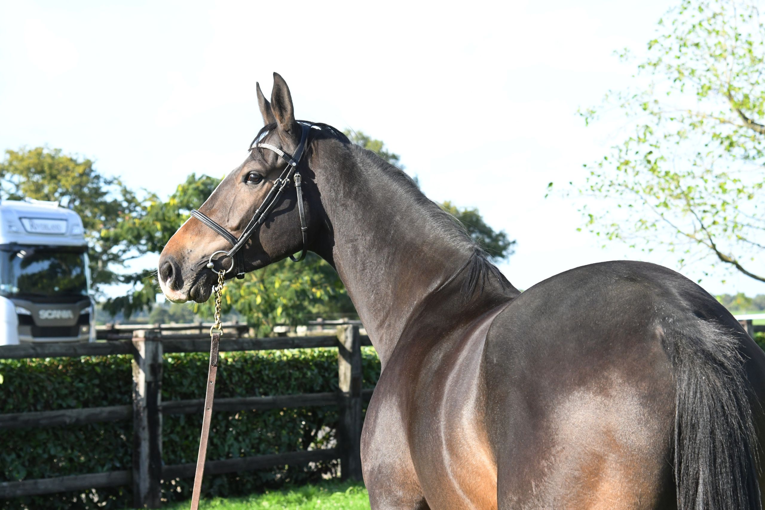 Image d'illustration