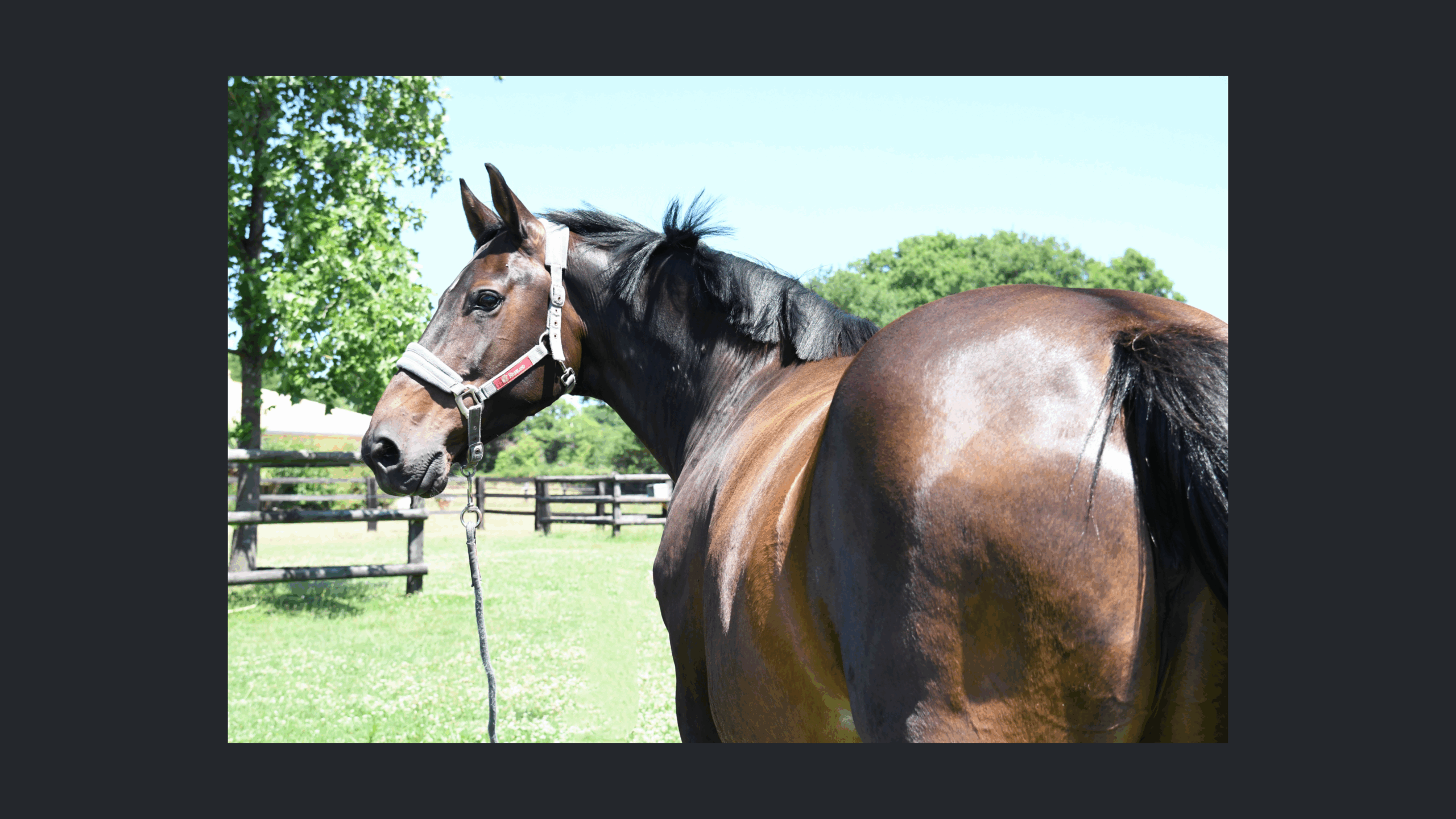 Image d'illustration