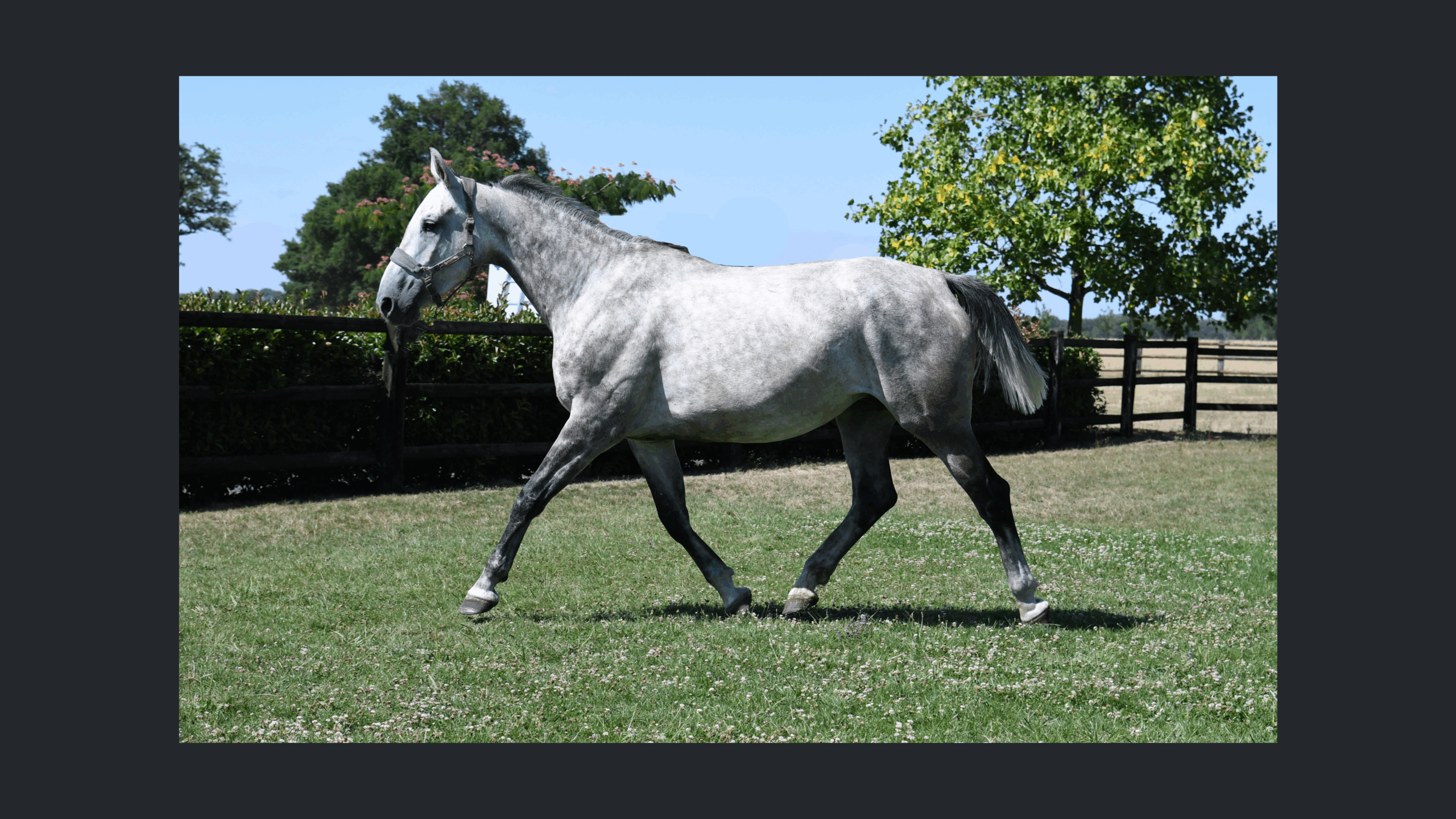 Image d'illustration