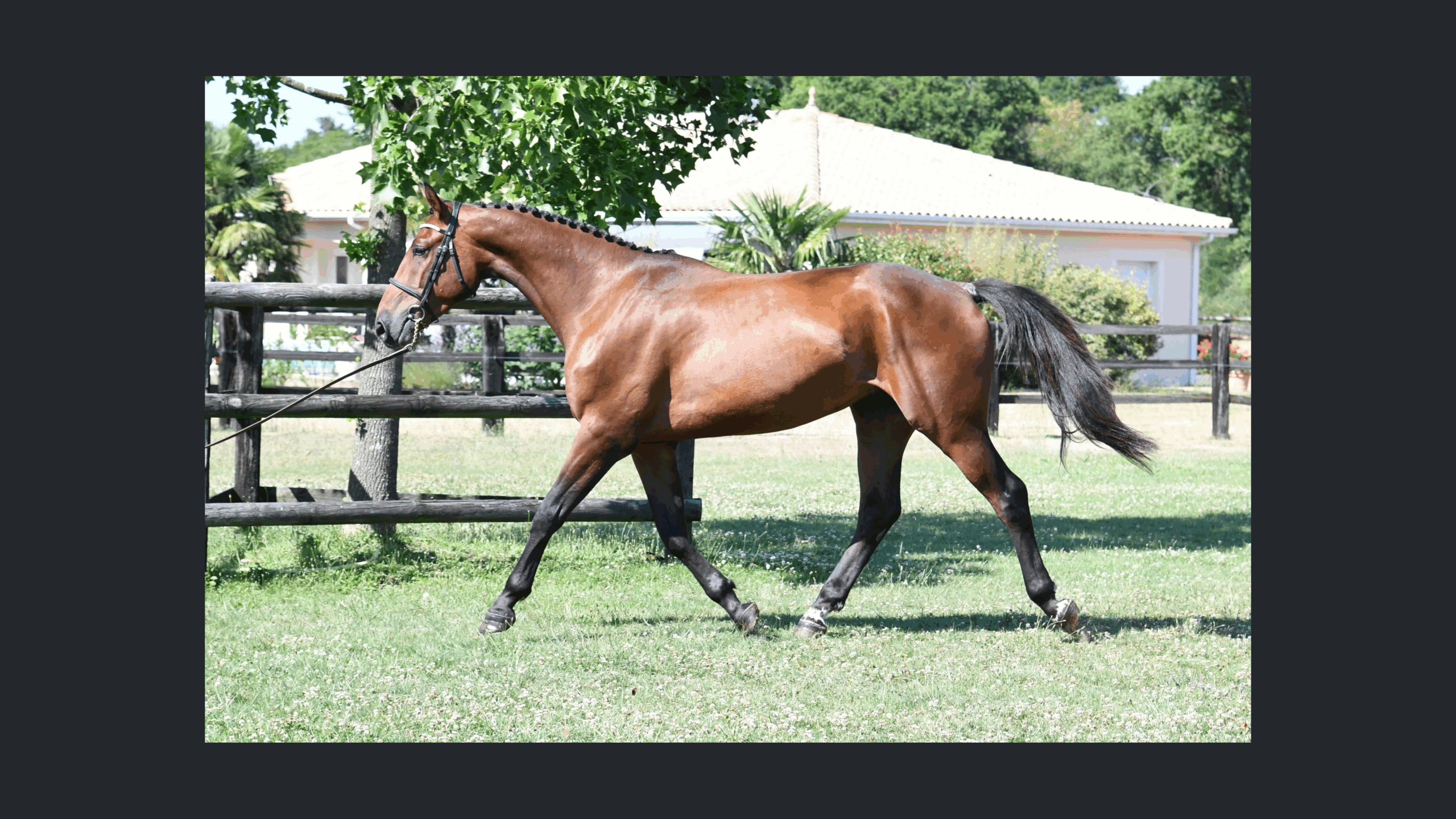 Image d'illustration