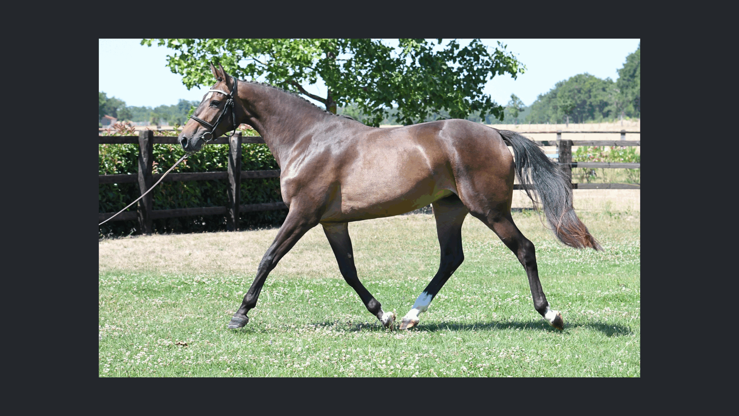 Image d'illustration