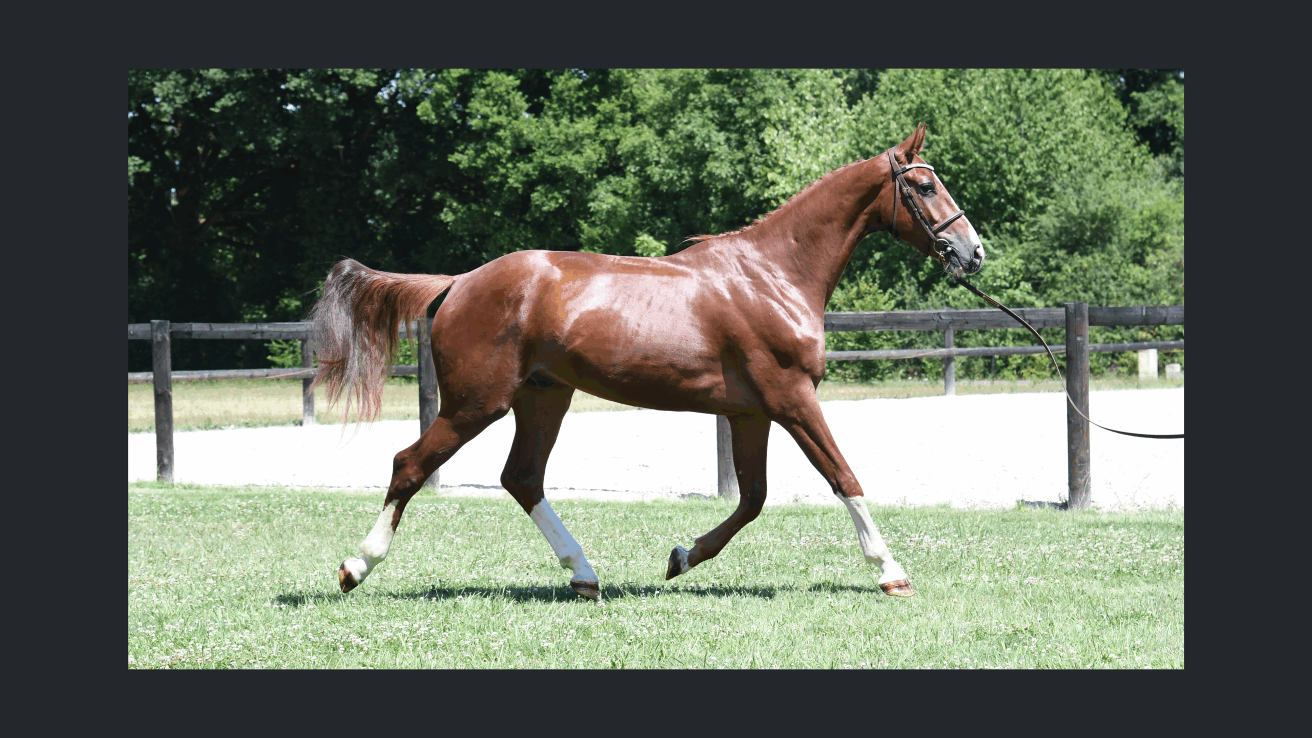 Image d'illustration