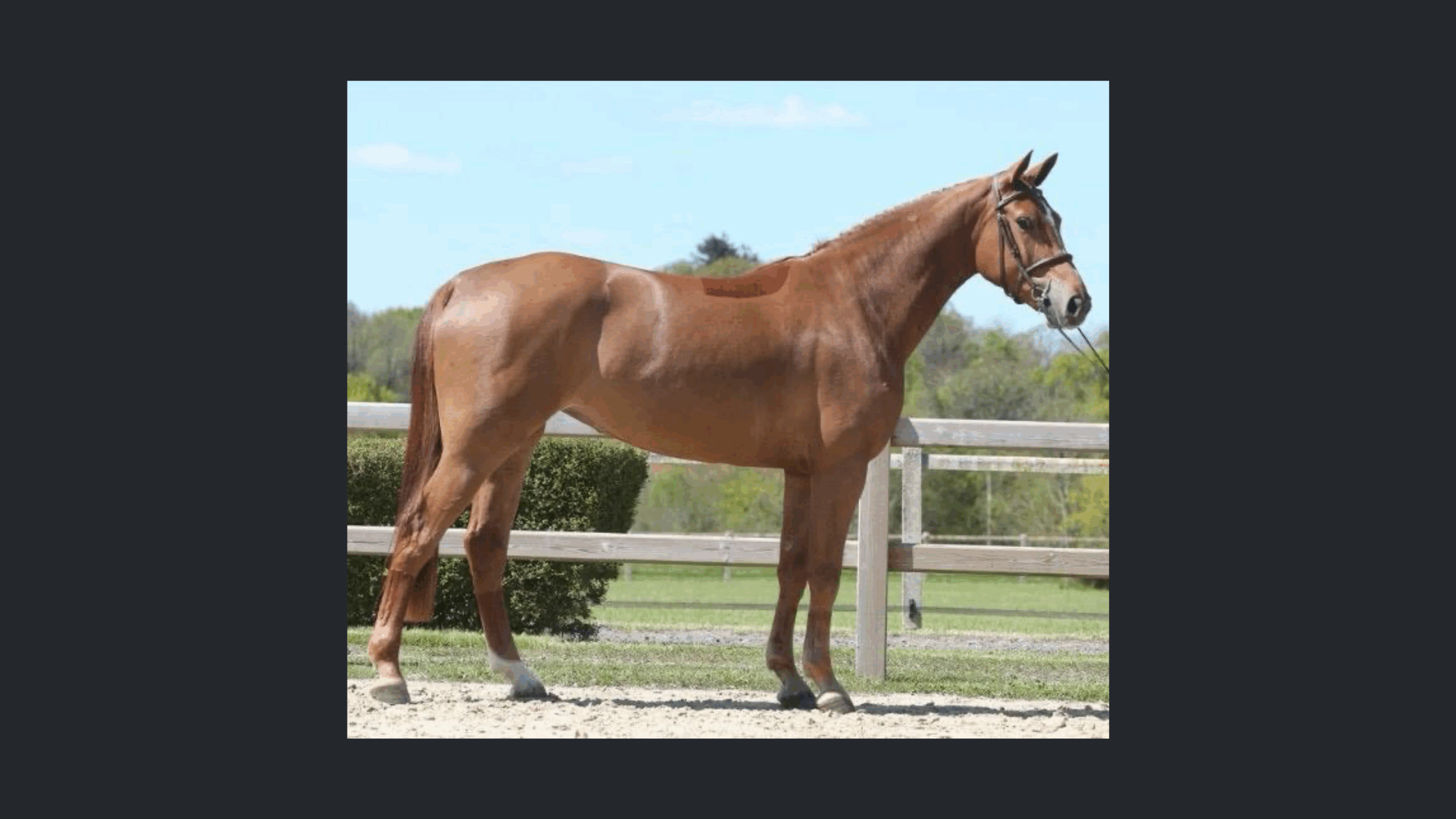 Image d'illustration