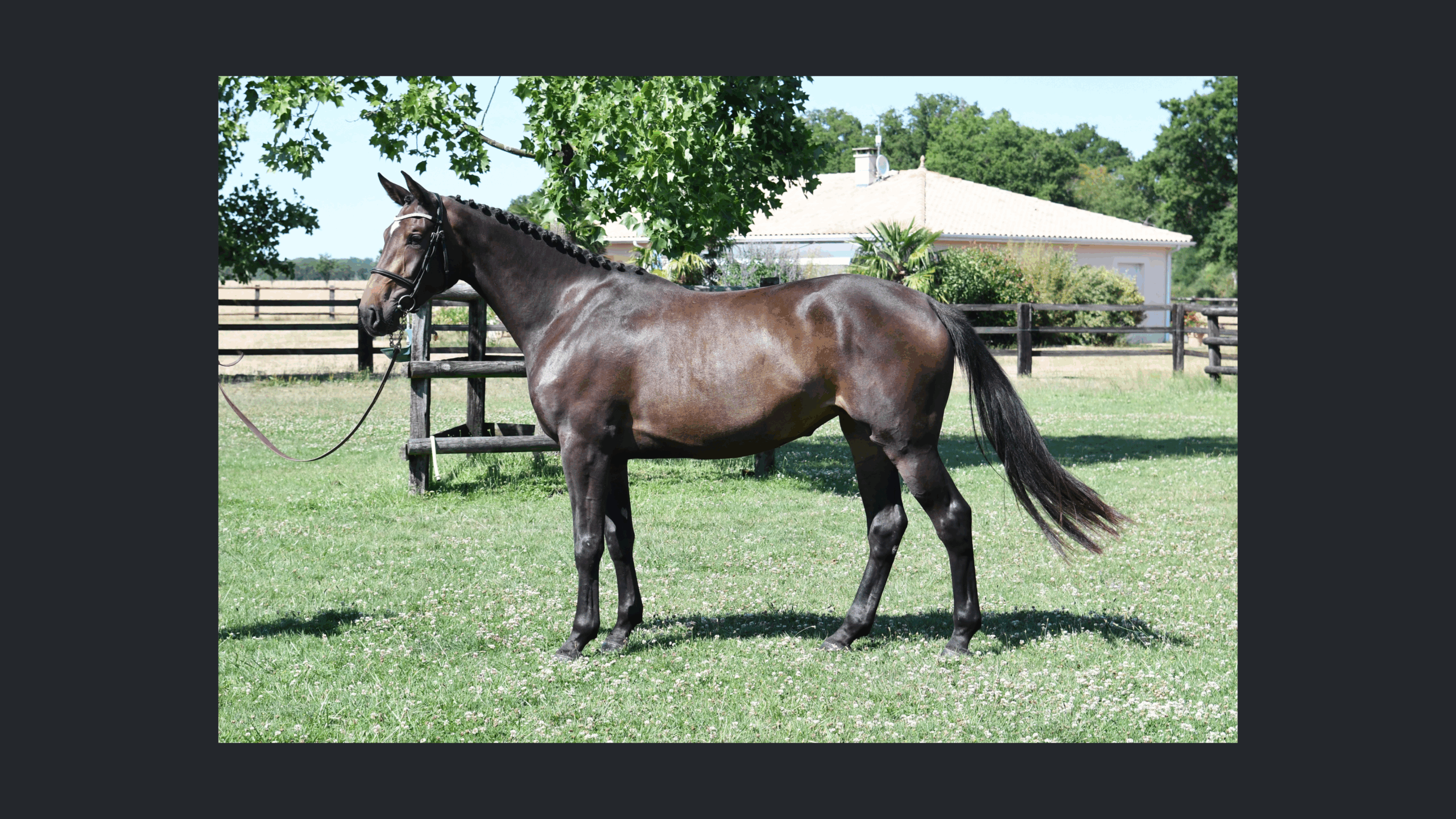 Image d'illustration