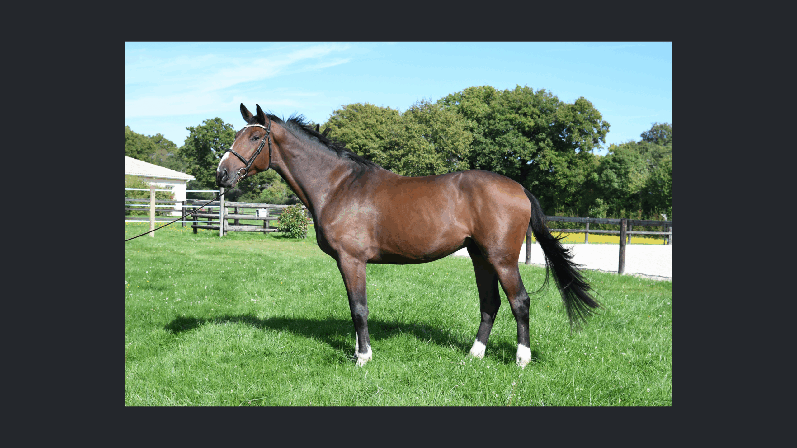 Image d'illustration