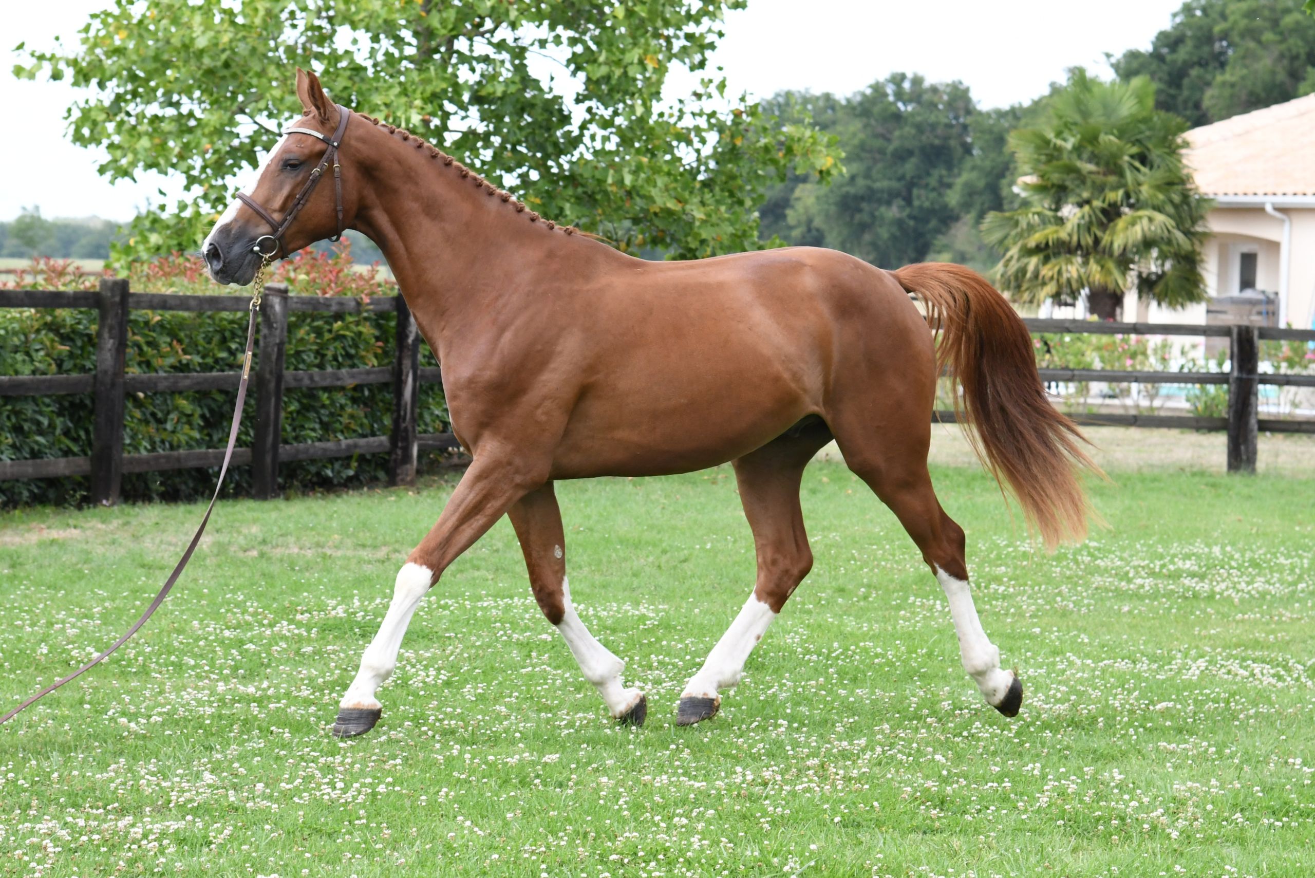 Image d'illustration