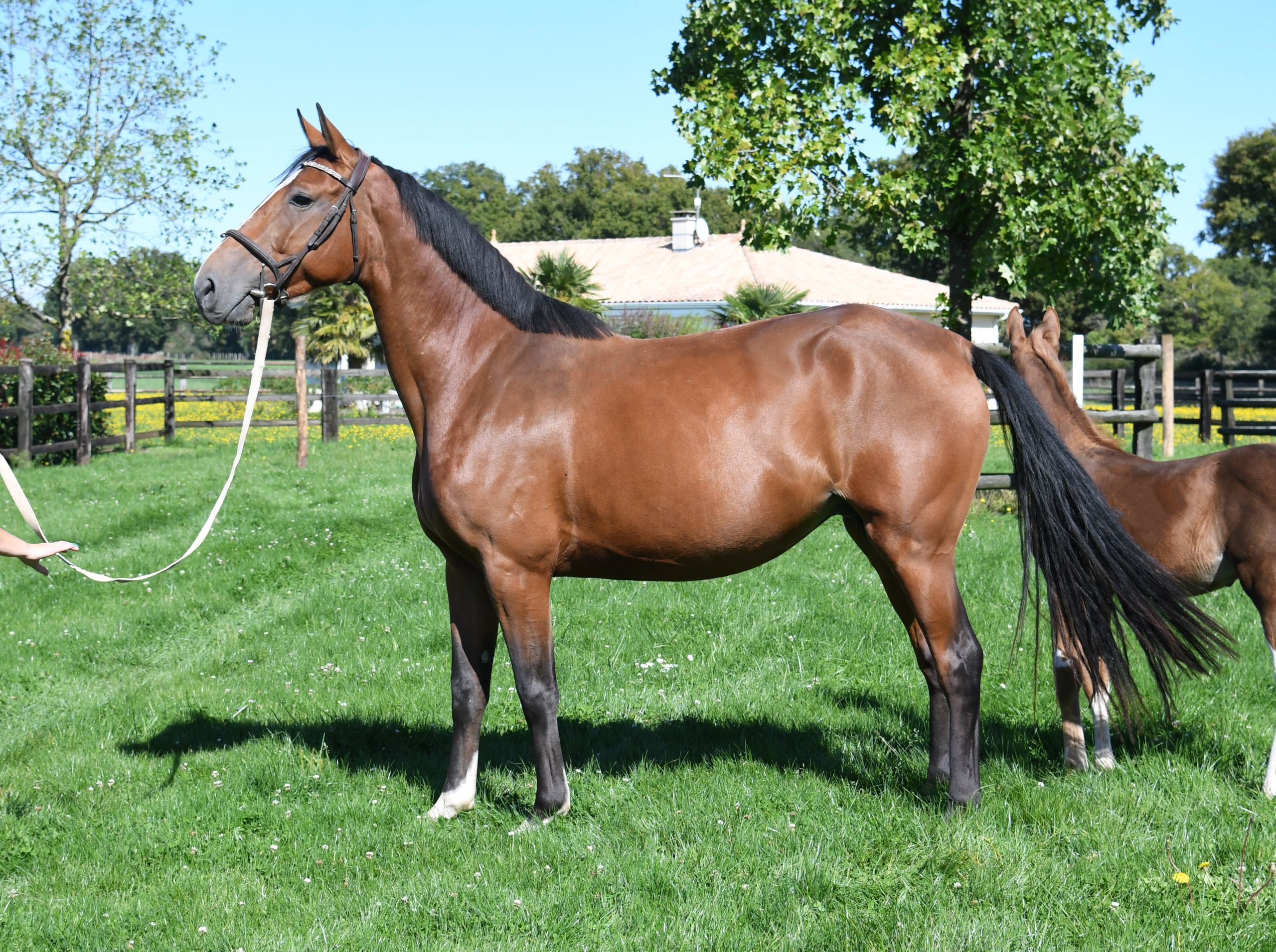 Image d'illustration