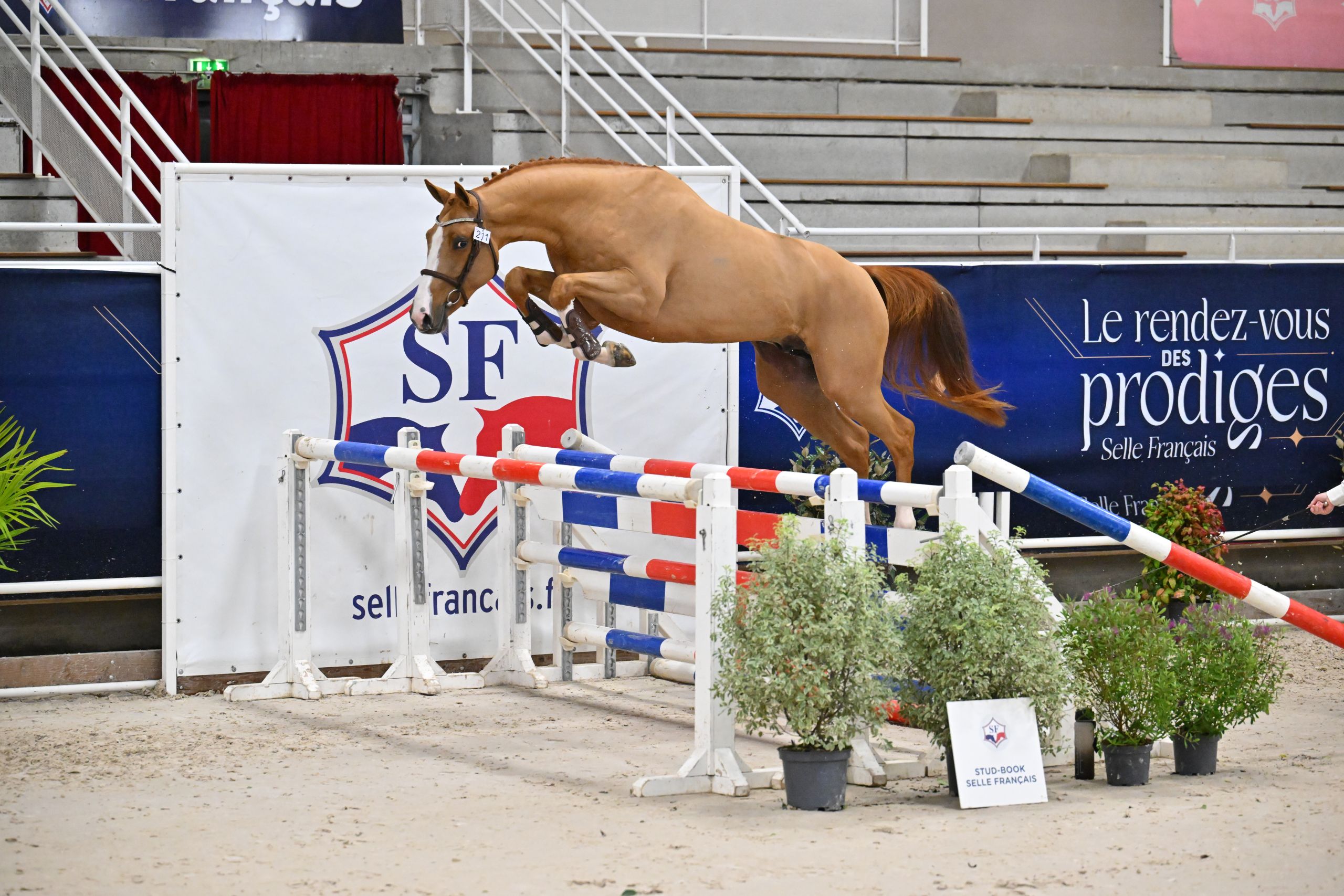 Image d'illustration