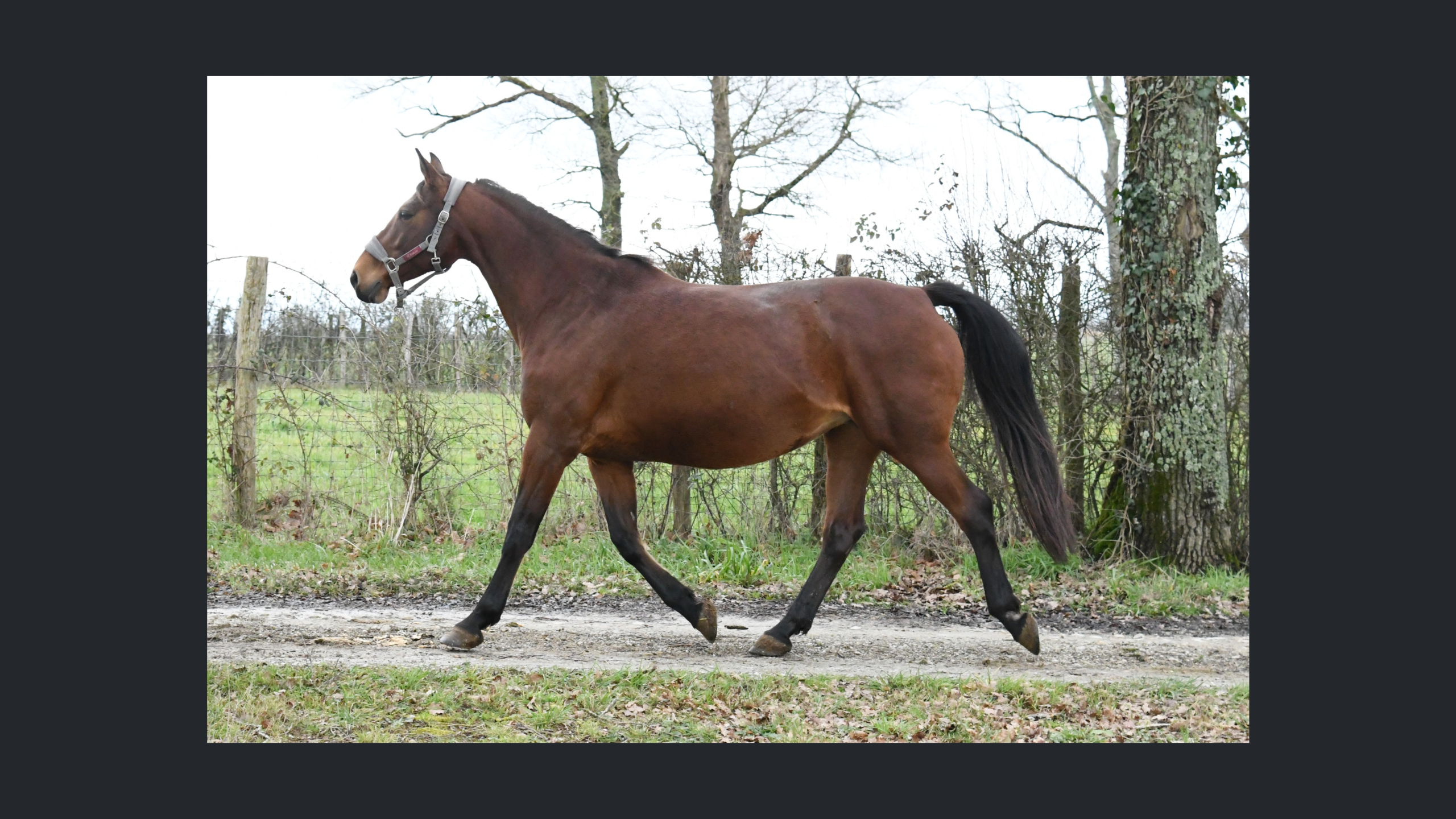 Image d'illustration