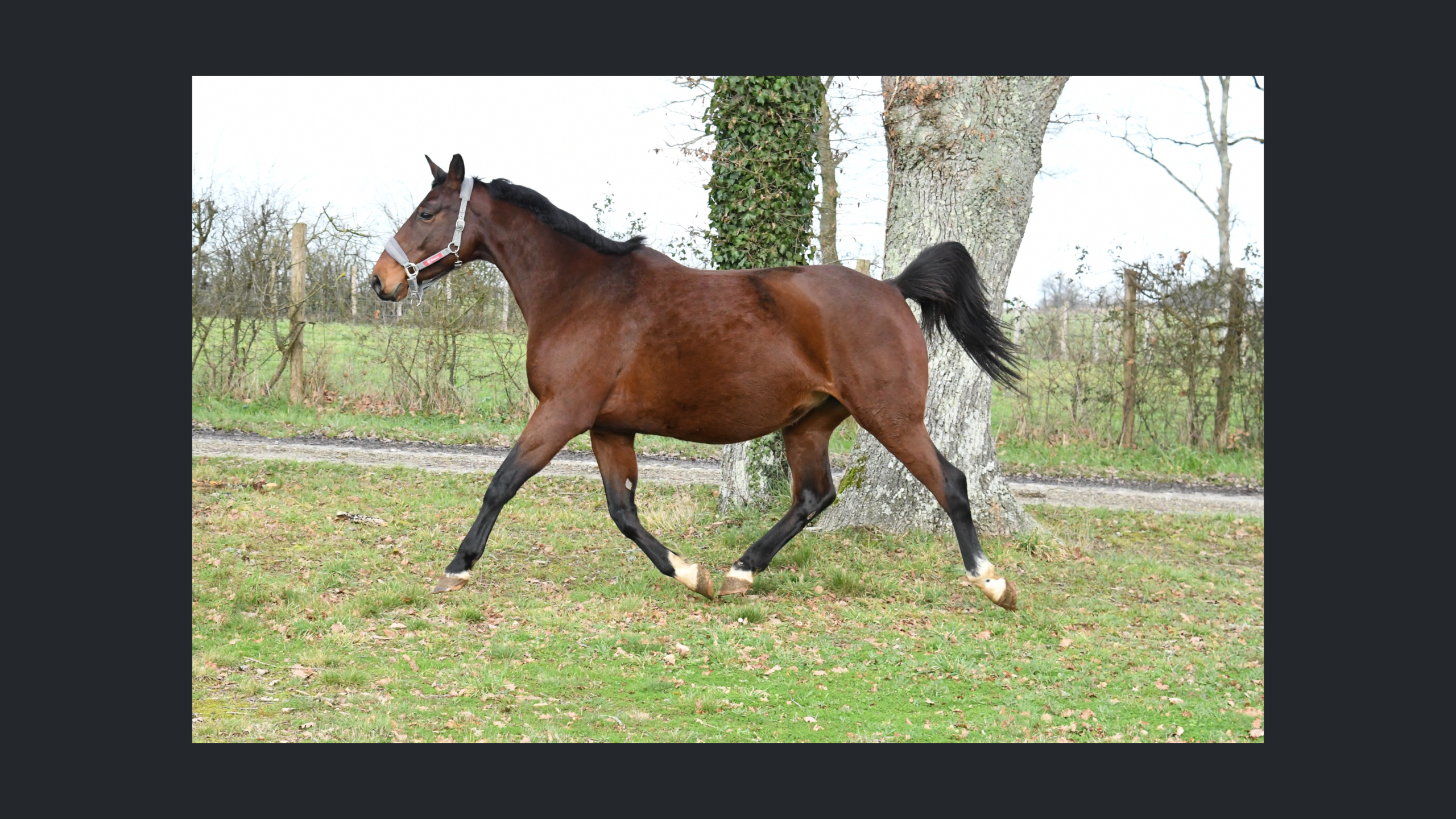 Image d'illustration