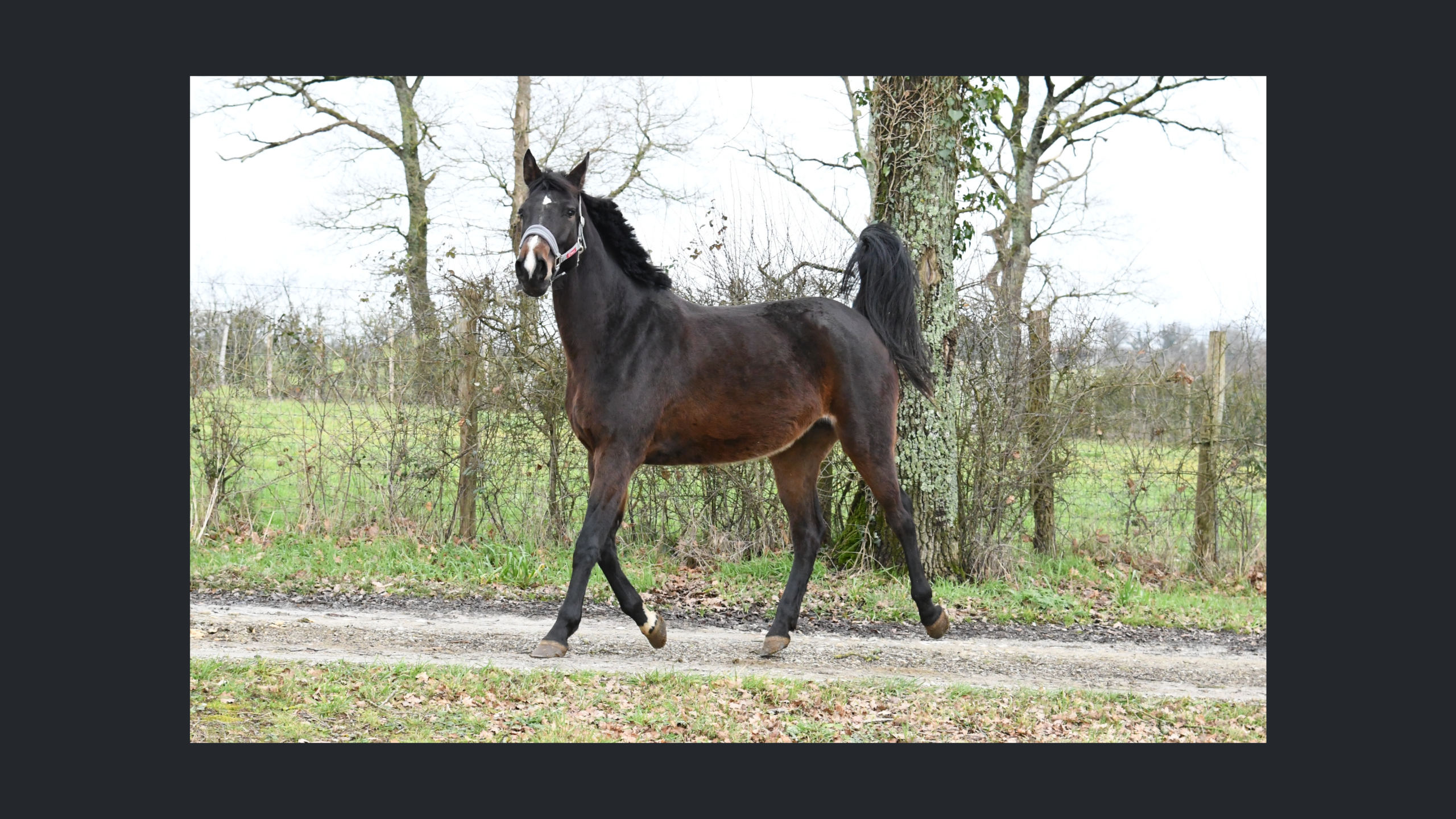 Image d'illustration